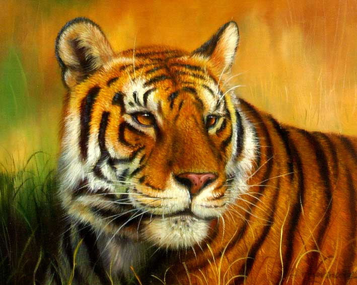 Jungle Overlord