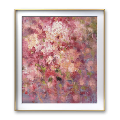 Gypsophila