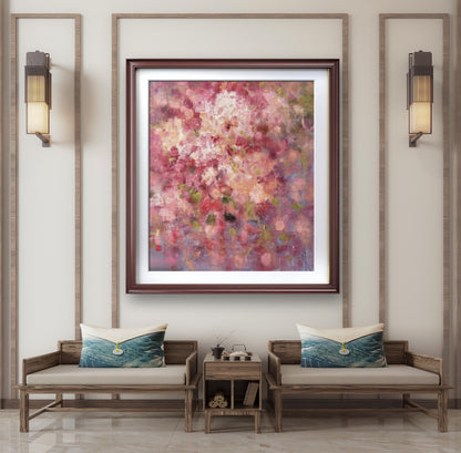 Gypsophila
