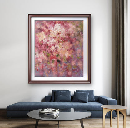 Gypsophila
